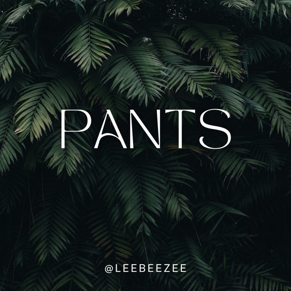 SHOP PANTS!